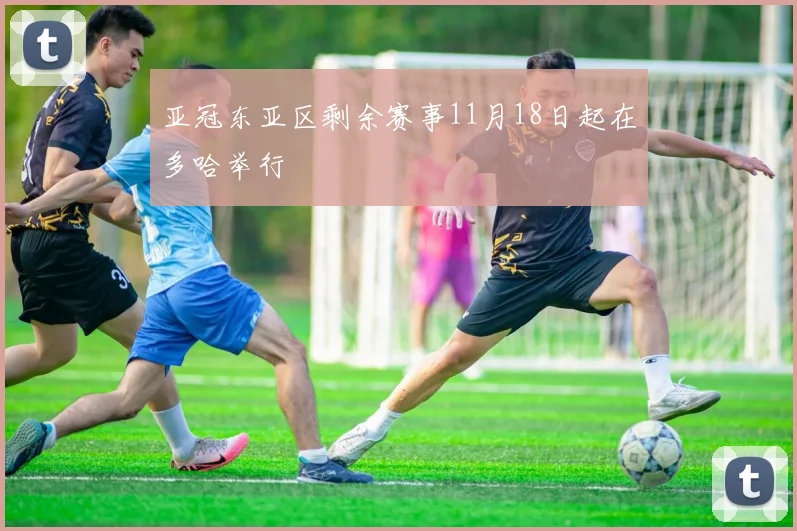 亚冠东亚区剩余赛事11月18日起在多哈举行