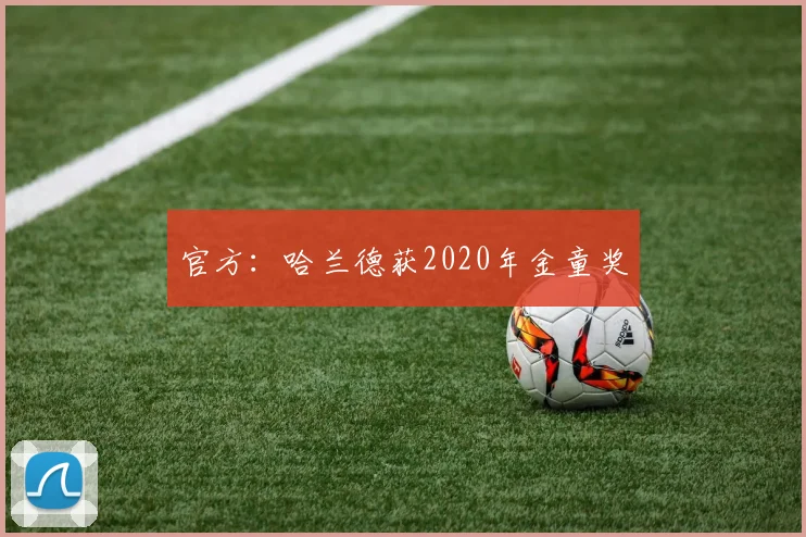 官方：哈兰德获2020年金童奖