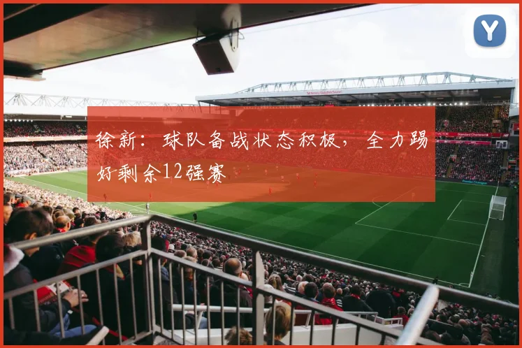 徐新：球队备战状态积极，全力踢好剩余12强赛