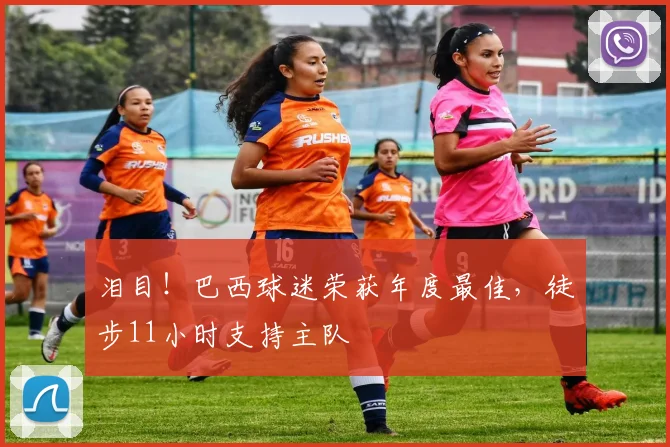 泪目！巴西球迷荣获年度最佳，徒步11小时支持主队